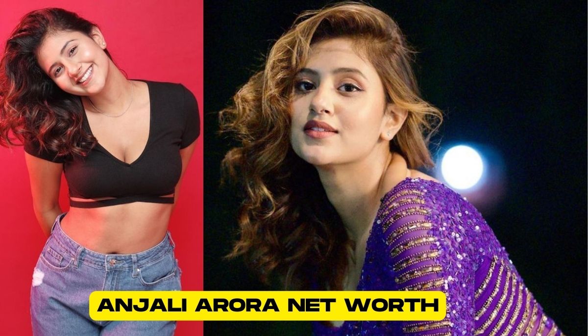 Anjali arora Net Worth